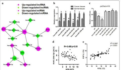 Fig. 2 Identification of potential lncRNA-H19 targeting miRNAs. a A cohort of six potential miRNAs that could interact with lncRNA-H19 was pre-dicted by starbase 2.0 and Miranda (http://starbase.sysu.edu.cn/ and http://www.microrna.org/)