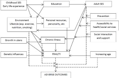 Figure 2.1. A life course approach to exposures in relation to frailty and its adverse 