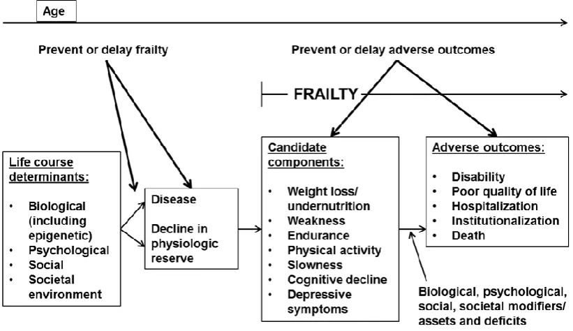 Figure 2.3. Working framework of the Canadian Initiative on Frailty and Aging (Bergman 