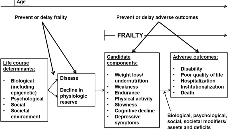 Figure 1. Working framework proposed by the Canadian Initiative on Frailty and Aging Frailty (adapted from Bergman, 2004 with modifications)  