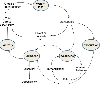 Figure 2. Modified representation of the cycle of frailty (adapted from Xue 2008) 
