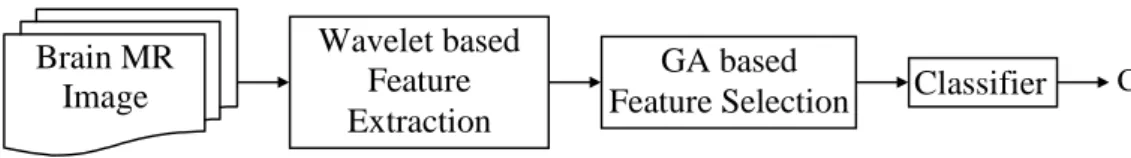 Figure 1. The Image Analysis process 