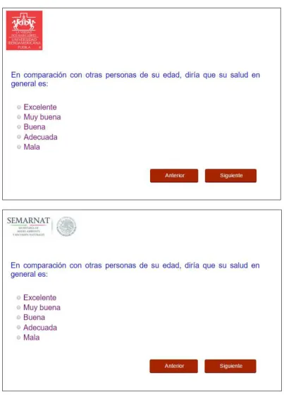 Figure 3 – Example of questionnaire page and logo positioning on the page 