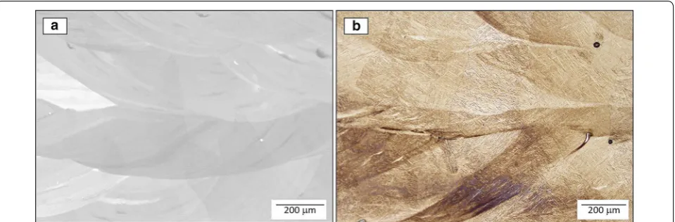 Fig. 1 Micrographs corresponding to the compositionally graded Ti-xMo (0 ≤ x ≤ 12 wt %) specimen a backscatter SEM top, b optical micrograph bottom