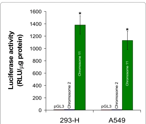 Figure 6A and 6B). The same effect was observed insiRNA treated cells (Figure 6B) (see additional file 10:Amplified micrographs for the data used in Figure 6C).