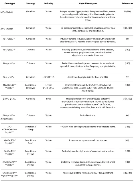 Table 2: Summary of p107-deficient mouse models and their phenotypes.