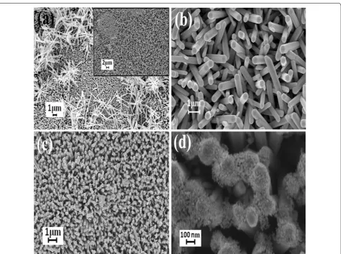 Fig. 3 Micro Raman spectra of ZnO and ZnO/CuO hierarchical structure