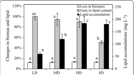 Fig. 5 Loss in biomass, gain in lipid content and lipid accumulation in SDEC-3M in low, medium, high and super-high-density cultivation (presented as LD, MD, HD and SD) during 12 h darkness