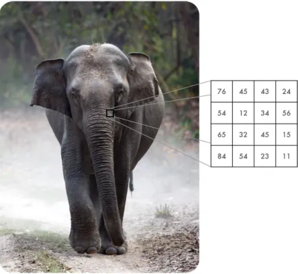 Figure 2.1: Example of the pixels that make up a digital image, visualised is a single channel of values that make up the highlighted image patch.