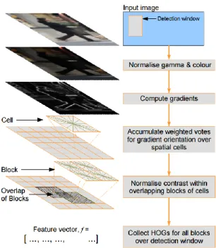 Figure 2.3.3 HOG feature descriptor extraction [35]. The figure illustrates the steps required to determine the feature  vector for detection