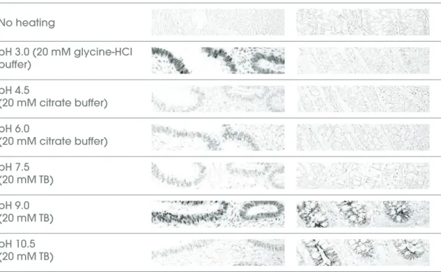 Figure 2. Effects of pH on heat-induced antigen retrieval in human tissues