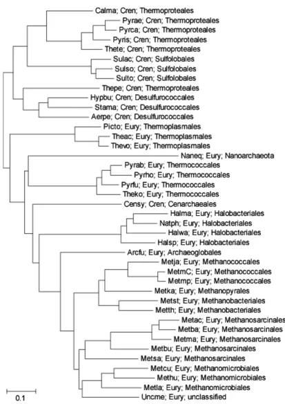 Figure 6The gene-content tree of archaea constructed on the basis of the phyletic patterns of arCOGsThe gene-content tree of archaea constructed on the basis of the phyletic patterns of arCOGs