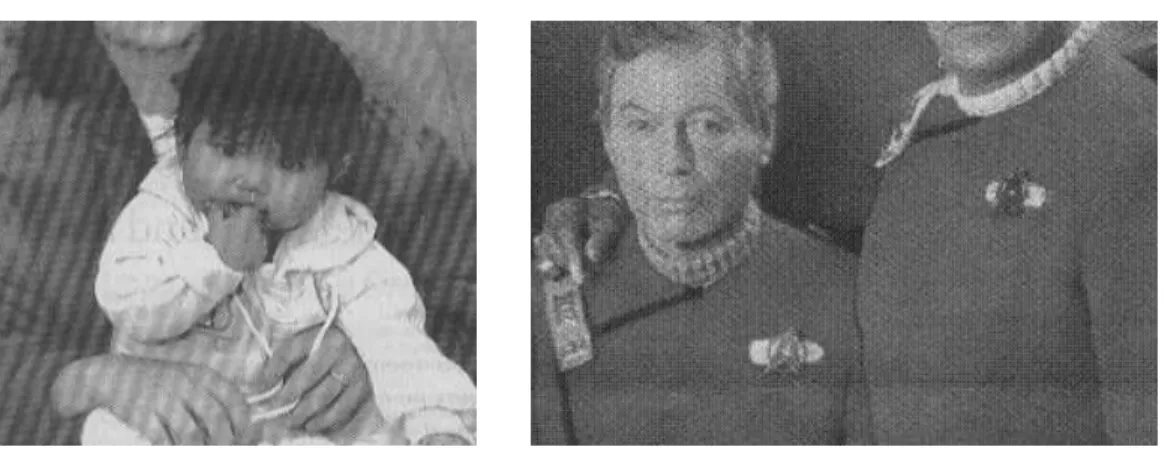 Figure 1.1: Examples of noisy pictures that suer bad detection rates and high false positives.