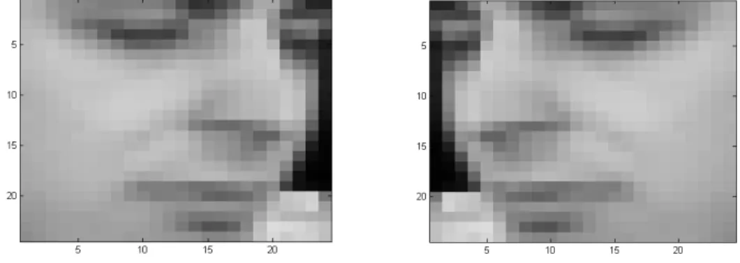 Figure 2.13: 24 × 24 gray scale images. Left is the original. Right is mirrored.