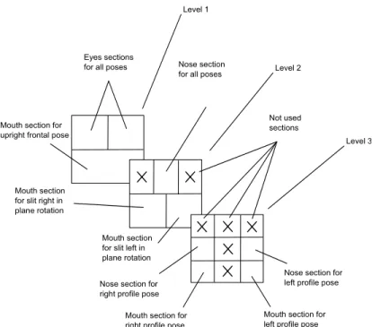 Figure 3.5: Face MFI mining levels