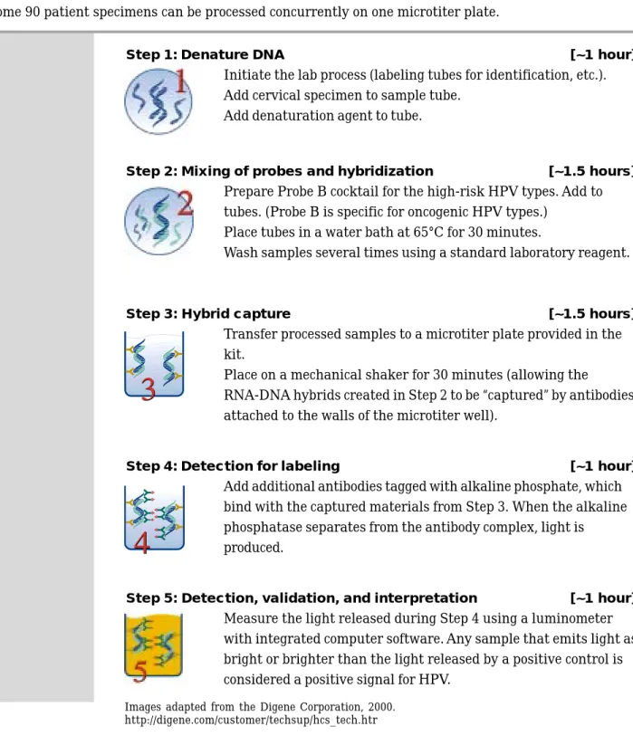 Figure 2: Laboratory process for Digene’s HC II