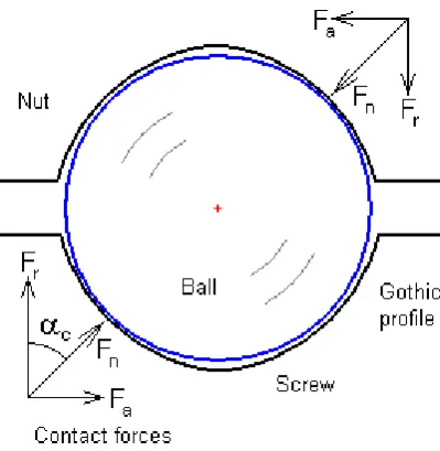Figure 3.12 – Contact in ballscrew meshing action 