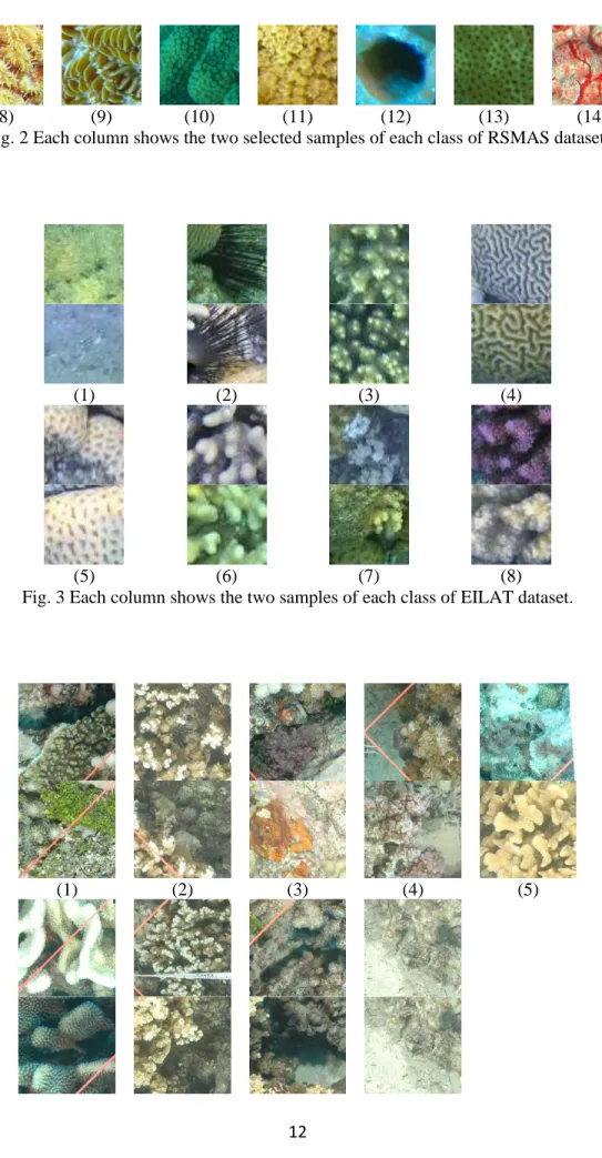 Fig. 2 Each column shows the two selected samples of each class of RSMAS dataset.  