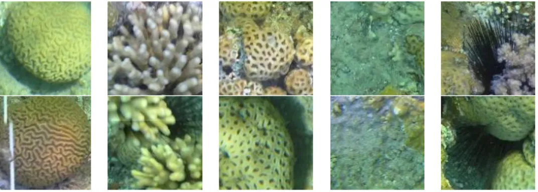 Fig. 4 Each column shows the two samples of each class of MLC dataset. 