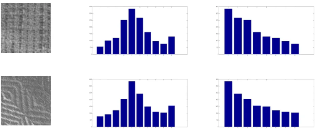 Figure 4.1: Two sample textures (left) with their LBP patterns (middle) and D-LBP patterns (right).