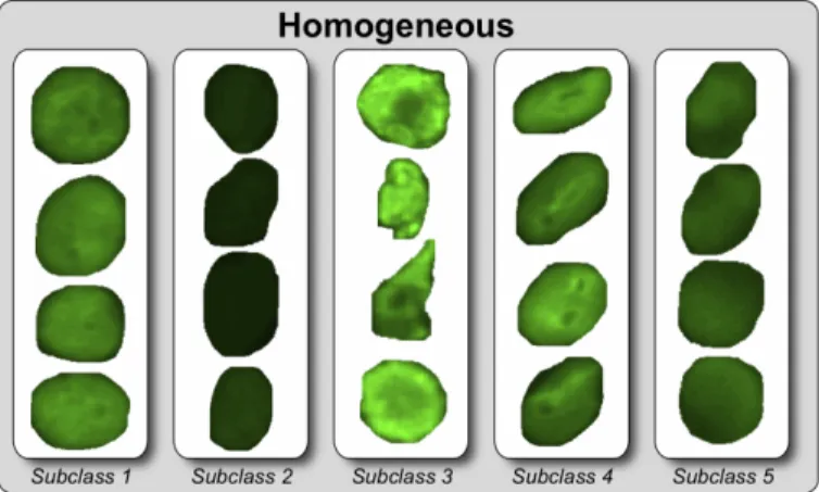 Figure 7: Sample images from the five homogeneous subclasses obtained in the optimal solution shown in Table 5.