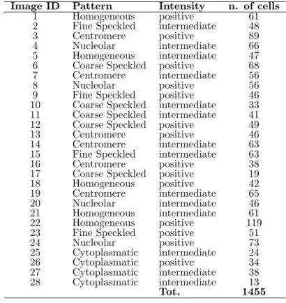 Table 1: HEp-2 cell dataset characterization, grouped by image ID.