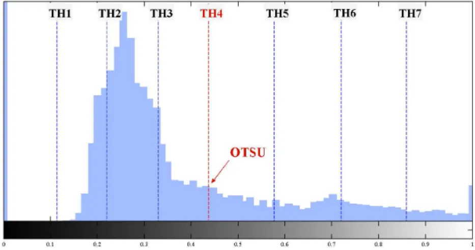 Figure 4: The seven progressive thresholds computed from a cell intensity histogram.