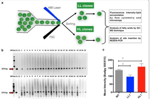 Fig. 3 Single‑cell LL and HL clones showed altered lipid accumulation. a Flow diagram of single‑cell sorting and validation