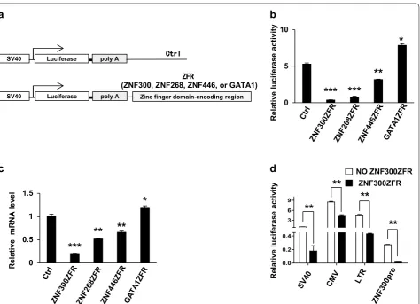 Fig. 1 Zinc finger domain‑encoding regions of KRAB‑ZFPs mediate gene suppression. a Schematic illustration of reporter vectors shows SV40 pro‑moter, the firefly luciferase, polyA element, and zinc finger domain‑encoding regions (ZFR) of different zinc fing
