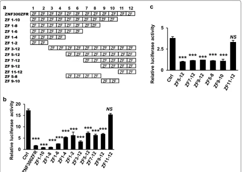 Fig. 2 Collaboration of multiple zinc finger motif‑encoding regions is required for optimal inhibition function of ZNF300ZFR