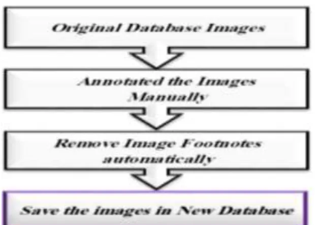 Fig. 4: Diagram of the Pre-processing Stages 