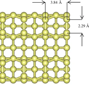 Fig. 5.1. Clean Si(001) exhibiting the (2x1) dimer configuration.  