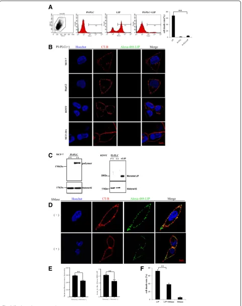Fig. 5 (See legend on next page.)
