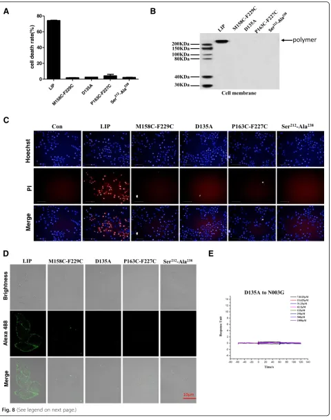 Fig. 8 (See legend on next page.)