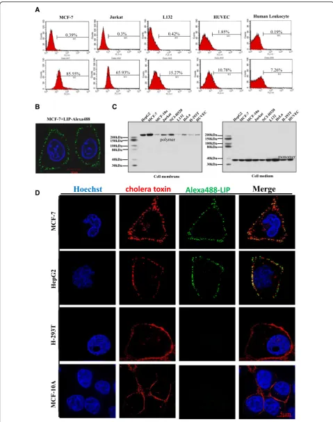 Fig. 2 (See legend on next page.)