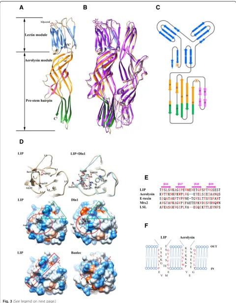 Fig. 3 (See legend on next page.)