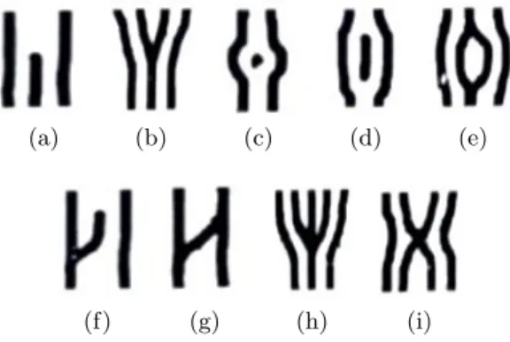 Figure 3.1: Minutiae Examples, including Crease Ending, Bifurcation, Dot, Island, Enclosure, Spur, Bridge, Trifurcation, and Crossing.
