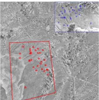Figure 2.5: Image obtaines at 1600 m during VISINAV test (top right) and matches with the map [Mourikis et al., 2009]