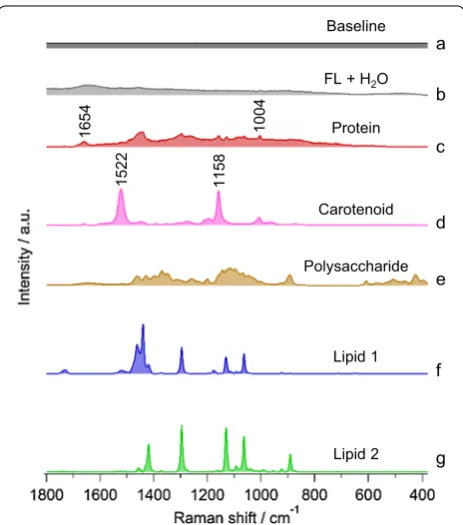 Table 1 Carbon chain length dependence of  gaucheconformation sensitive C–C-stretching band in  saturated chains