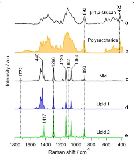 Fig. 4 Comparison of MCR spectral components with pure standards. (a) β-1,3-glucan, (b) MCR-extracted polysaccharide (same as Fig