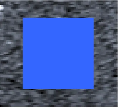 Figure 4.4: A square (50X50 pixels) ROI was  placed in the centre of the image for features 