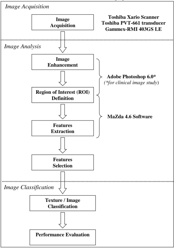 Figure 3.1: Block diagram of the texture analysis pathways employed in the  study. 