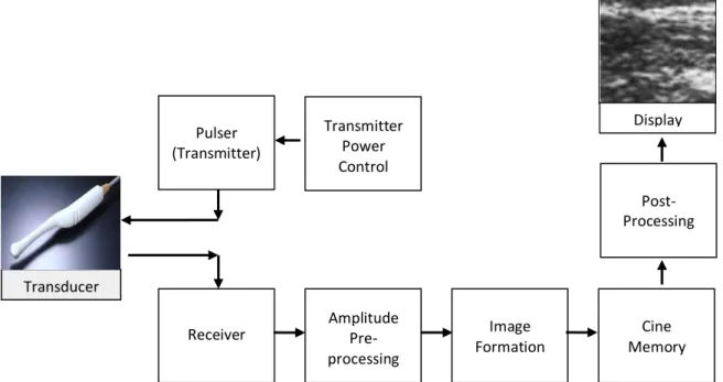 Figure 3.3: Block diagram of a typical B-mode imaging system  (adopted from Martin, 2010) 