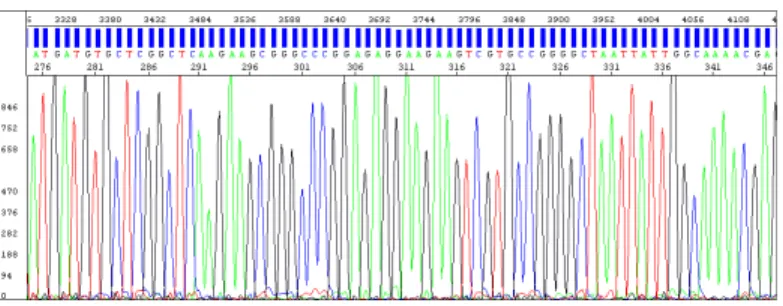 Figure 34 Example of electropherogram with high quality data