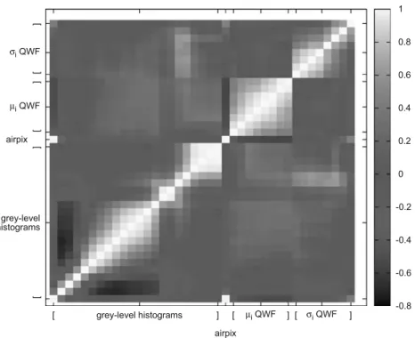 Fig. 1. Correlation matrix of the feature space.