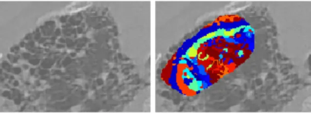 Fig. 3. Cropped example of a region described by visual words (in color).