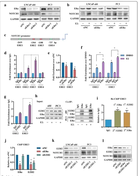 Fig. 4 (See legend on next page.)