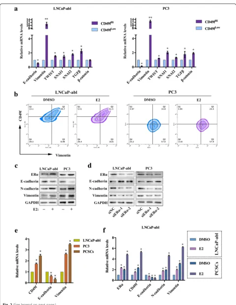 Fig. 2 (See legend on next page.)