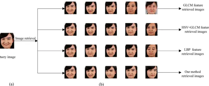 Figure 8. (a) Query image (b) images retrieved in FD-XJ.