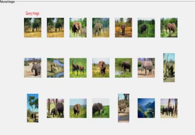 Figure 8 (f) : Retrieved elephant’s images